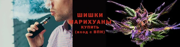 сатива Абаза
