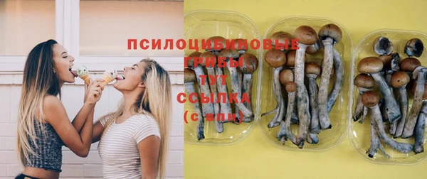 сатива Абаза