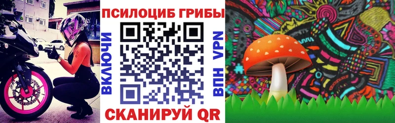 Галлюциногенные грибы мицелий  купить   Тбилисская 
