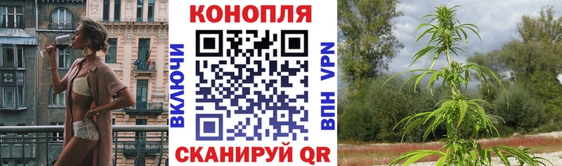 Марихуана сатива  блэк спрут вход  Тбилисская 